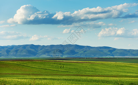 云多的春季风景农业多云绿色场地小麦地平线农村高清图片