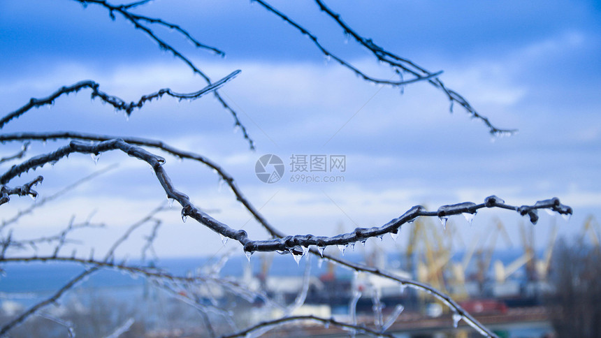 冷冻的树木故事旅行大路场地季节天空宏观车道场景暴风雪图片