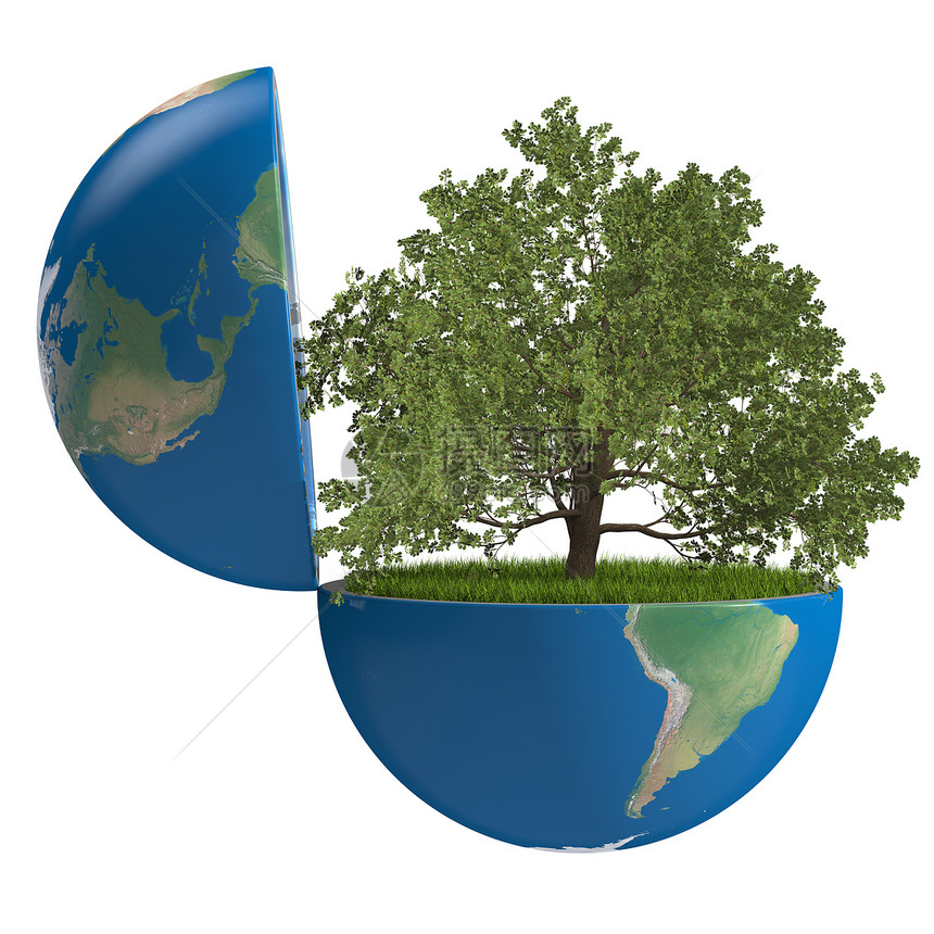 行星内的橡树树生物环境天空生活白色地球植物绿色橡木插图图片