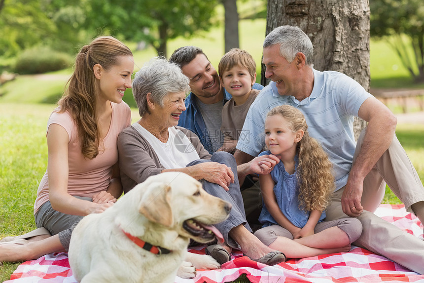 大家庭和宠狗坐在公园旁的宠狗女性祖父母快乐女士姐姐家庭生活成人宠物父母男人图片