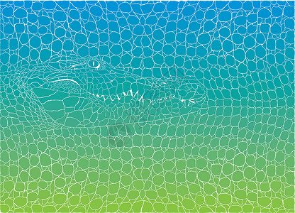 Crocodile 抽象背景背景图片