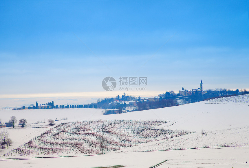 下雪景栽培小路国家葡萄园白色植物风景植被藤蔓场地图片