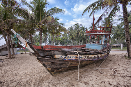 渔船沉船棕榈绳索热带树木海滩背景图片