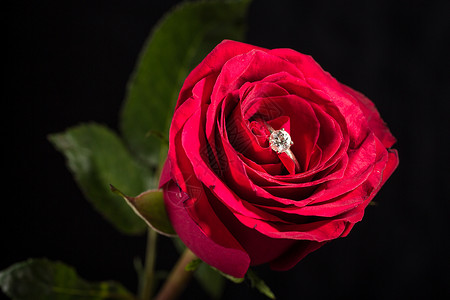 完美的情人节礼物纪念日钻石婚礼周年庆典宏观婚姻花瓣植物订婚背景图片