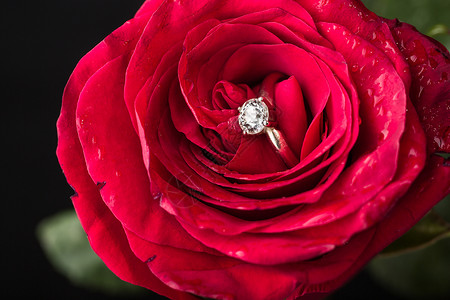 完美的情人节礼物庆典植物纪念日宏观周年红色钻石玫瑰订婚花瓣背景图片