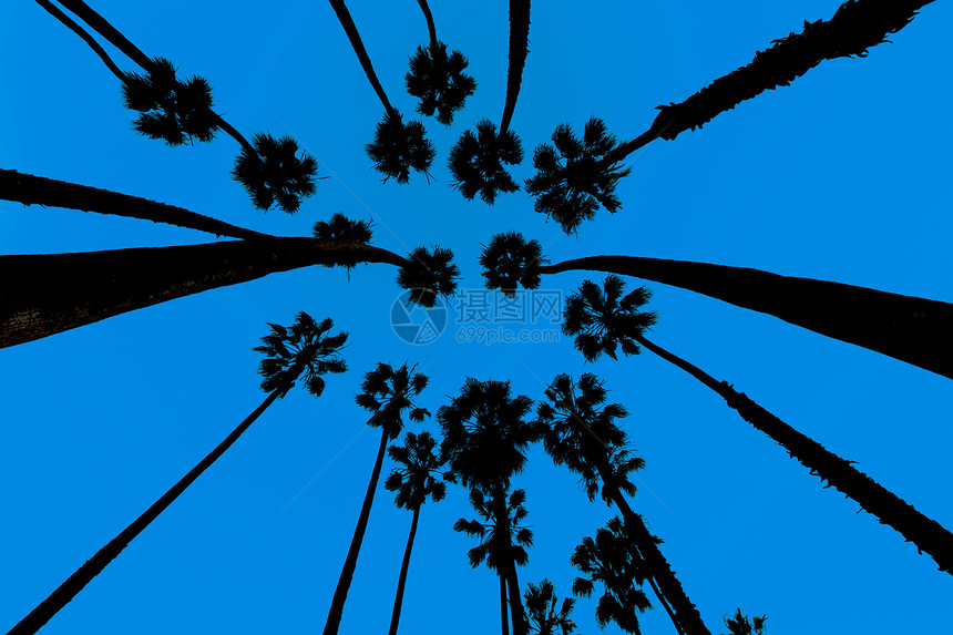 圣芭芭拉日落情调蓝色海滩太阳树干橙子海洋天空假期图片