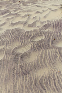 佛掌沙丘干净的海洋高清图片