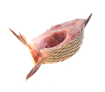 生鲜鱼海高清图片素材