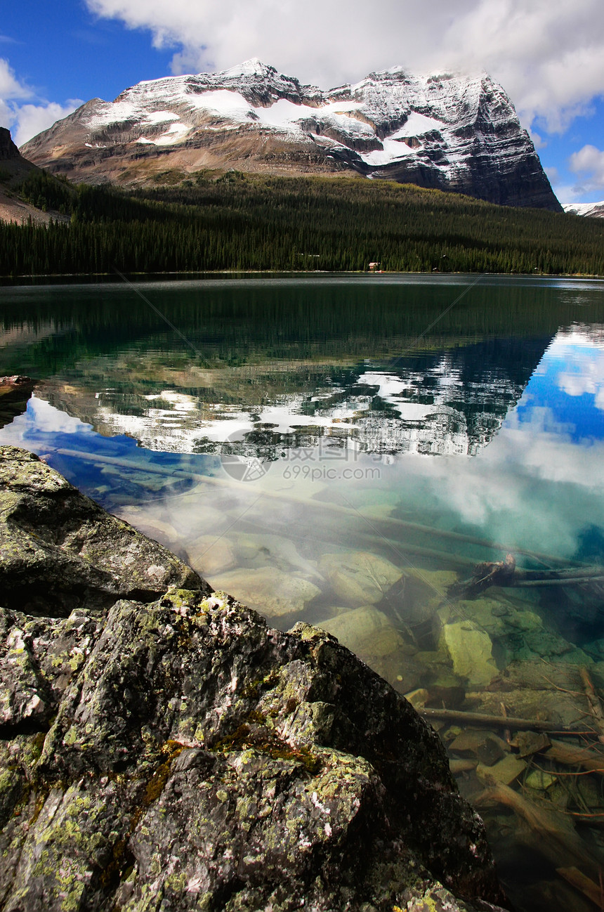 加拿大不列颠哥伦比亚省约霍国家公园奥哈拉湖冰川蓝色公园国家反射高山树木风景森林荒野图片