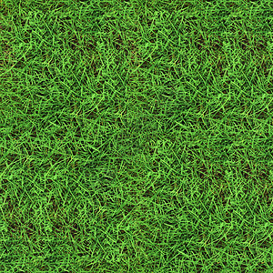 绿草无缝纹理场地叶子草本植物环境植物草原土地草叶草皮刀刃背景图片