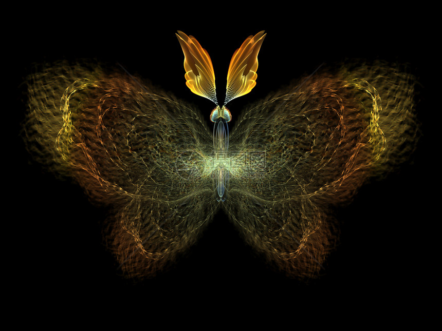 分形蝴蝶创造力昆虫学插图想像力野生动物翅膀眼睛渲染数学宏观图片