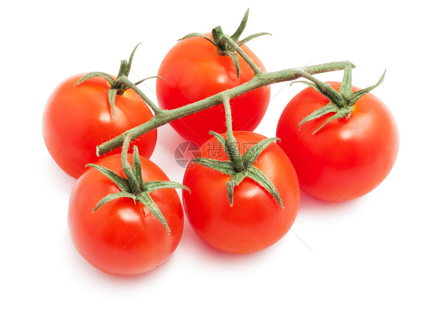 番茄营养宏观农业叶子白色绿色蔬菜食物红色图片