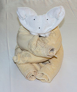 Koala熊由床上折叠毛巾形成背景图片