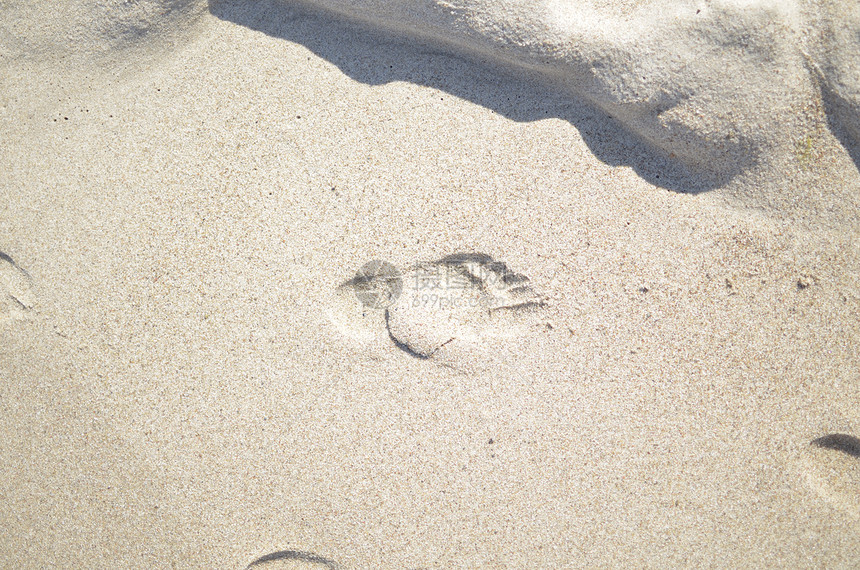 桑迪海滩上的脚印图片