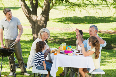 父亲和家人在公园吃午饭 在烤烤烤烤架上高清图片