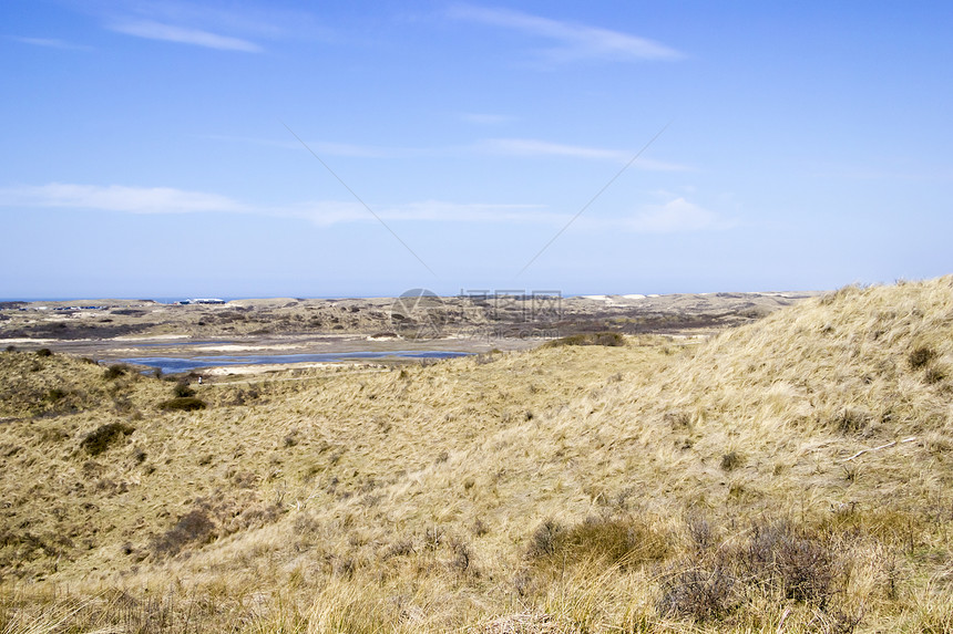 荷兰国家公园的沙地景观植物木头公园天气天空沙丘支撑植物群白色蓝色图片
