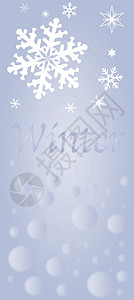 冬天阳光鸟类冷冻天气射线插图季节性描写年度雪花背景图片