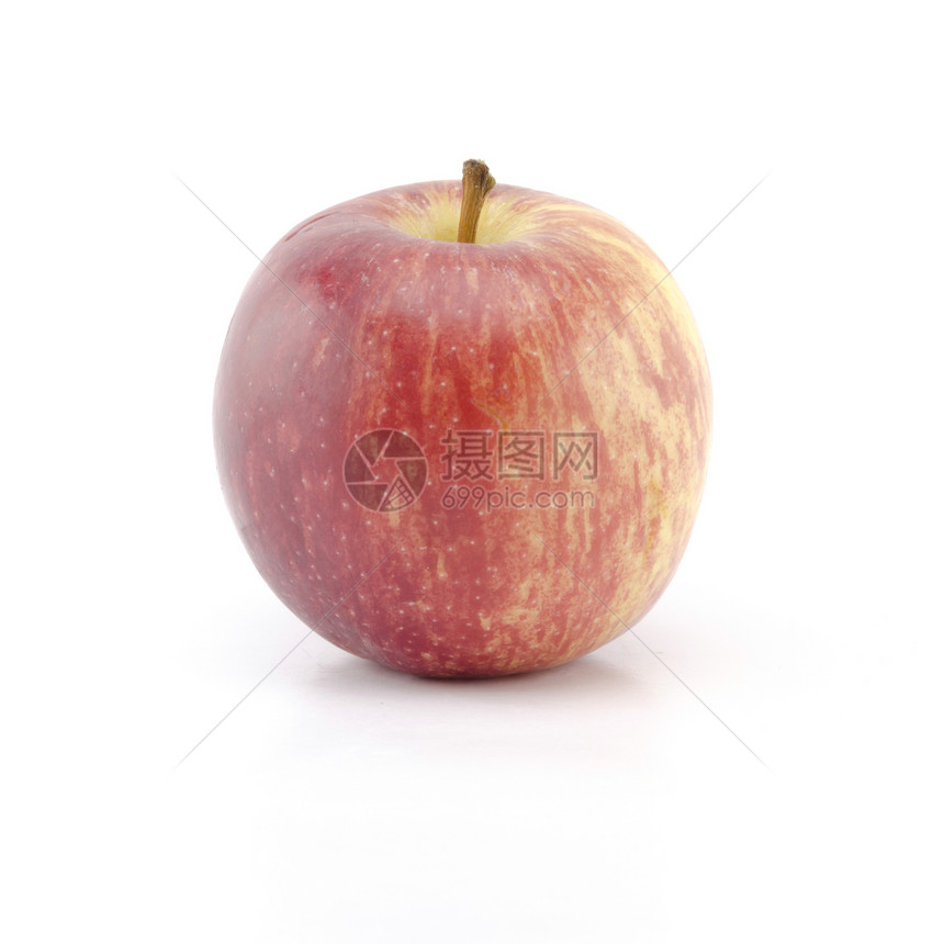 白上孤立的单苹果小吃营养小路植物花园阴影饮食食物水果生态图片