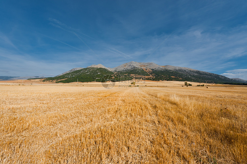横向景观收成国家场地干草环境岩石生态山峰天空农田图片