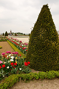 法国凡尔赛宫花园城堡阳光地标公园雕塑历史旅行天空历史性背景图片