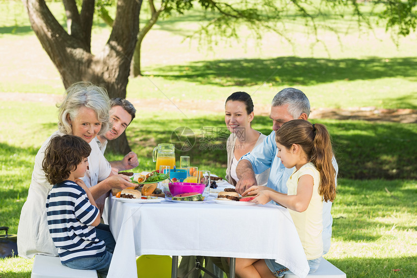 大家庭在草坪吃午餐闲暇孙女老年男生团结女士草地祖父女性食物图片