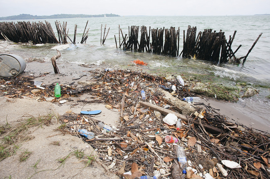 沙吉海滩的垃圾桶图片