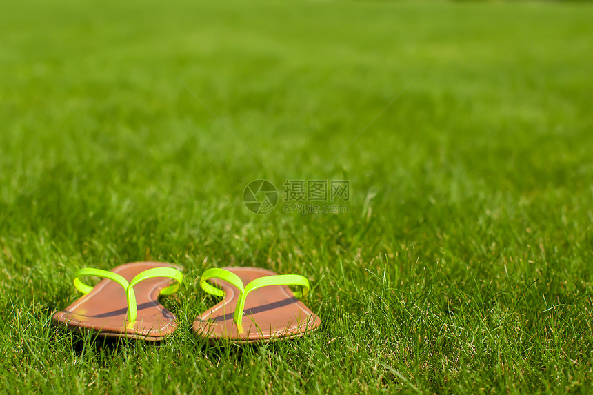 绿色草地上闪亮的飞轮衣服脚跟脚步时尚凉鞋拖鞋热带旅行橡皮阳光图片
