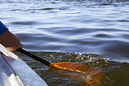 Kayaking 窃听旅行波纹活动独木舟运动游客闲暇皮艇追求划桨背景图片