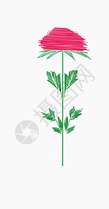 鲜花 矢量插图叶子花瓣绿色白色玫瑰红色背景图片