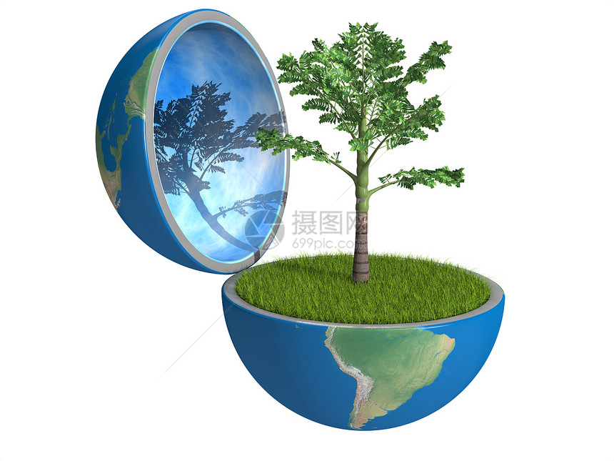行星内棕榈树植物天空概念世界白色生物绿色蓝色地球全球图片