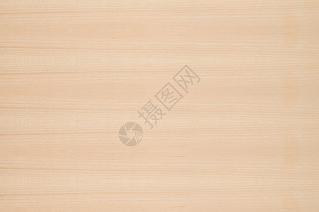 树木背景背景硬木控制板装饰样本材料木材墙纸木板松树宏观背景图片