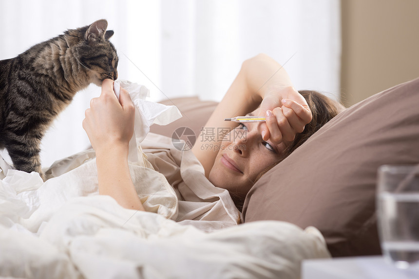 躺在床上生病的妇女保健羽绒被小猫休息女性疾病棕色流感感冒枕头图片