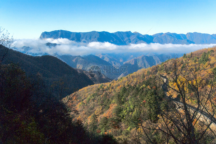 山峰 树木 云山脉松树旅游森林图片