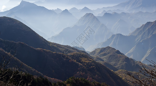 山峰 树林 云朵 喜农家美人松树森林山脉树木旅游背景图片