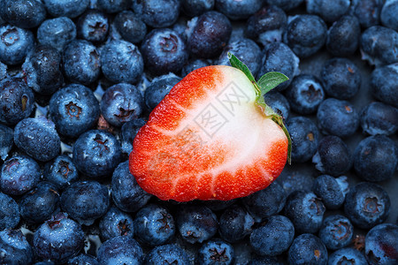 机器人采草莓新鲜采出带草莓的蓝莓食物蓝色采摘农业水果圆形覆盆子浆果背景