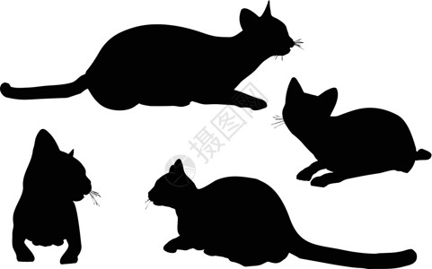 猫黑白猫集合矢量 silhouett小猫阴影夹子插图收藏宠物动物绘画男性女性设计图片