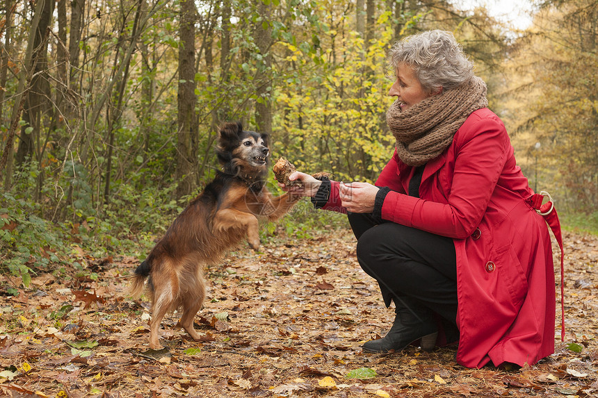 阿格尔女人和她的狗女士犬类雨衣侯爵森林中年幸福夹克闲暇披风图片