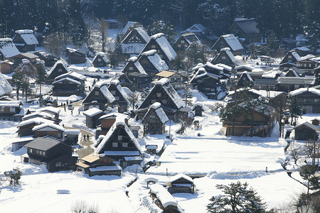 房子雪日本白川地村的景点茅草世界遗产小屋松树白川村庄房子合掌农场背景