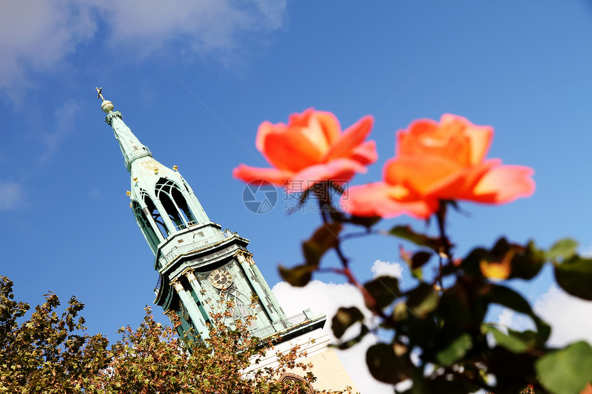 柏林前的鲜花历史性教堂电视历史蓝色广场花园教会建筑建筑学图片