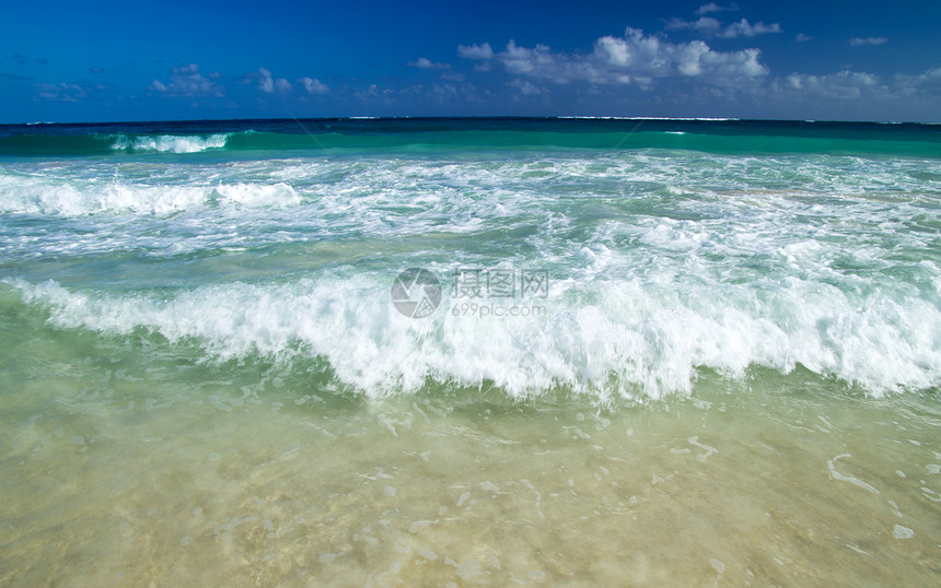 热带海洋地平线海岸线场景气候海景天空太阳风景蓝色棕榈图片