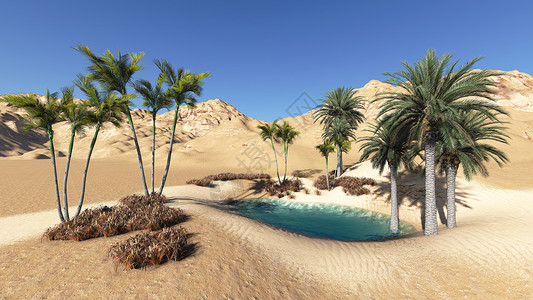 绿洲沙漠绘图图像绘画热带计算机气候旅行形状数字非洲高清图片素材