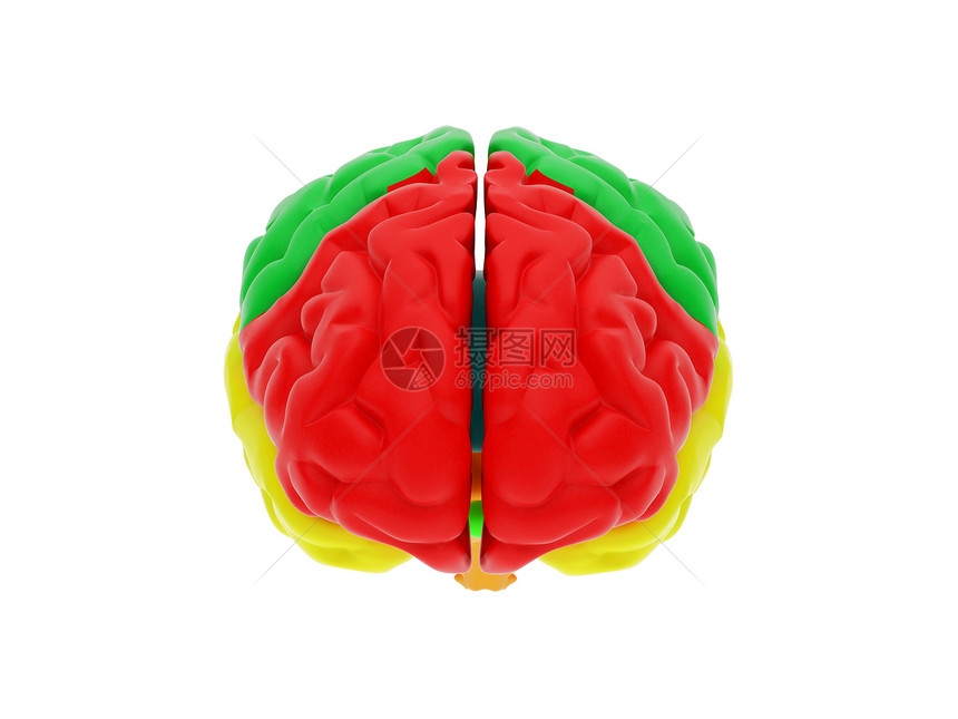 3D人脑智慧外科白色手术风暴知识分子神经头脑心理保健图片