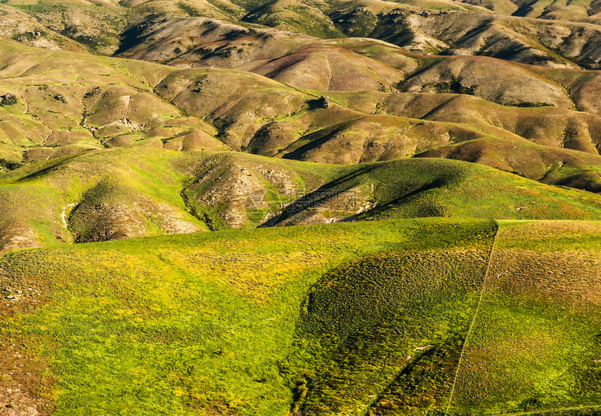 新西兰山丘风景国家山口牧场滚动曲线日落晴天乡村丘陵图片