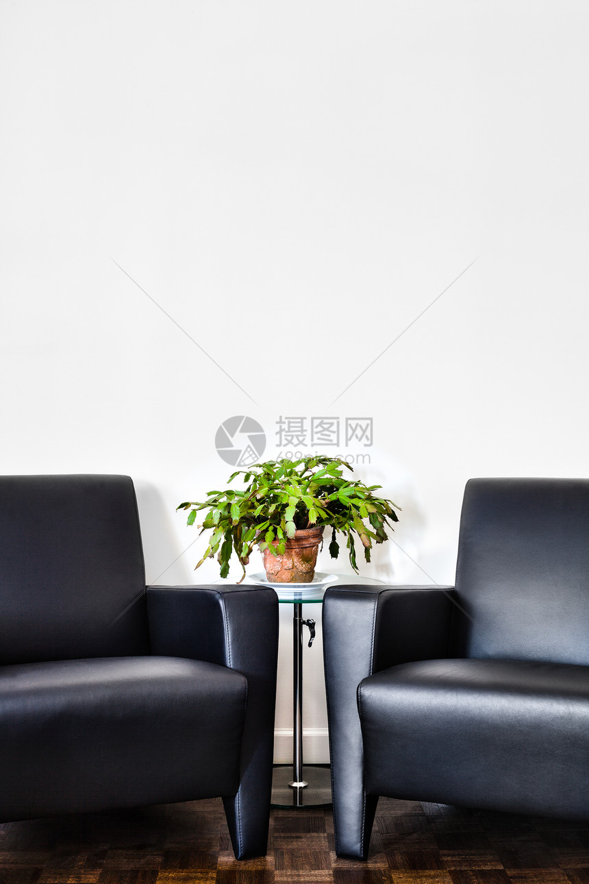 现代内务室和白墙房地产大厅房子皮革家具植物办公室硬木桌子扶手椅图片