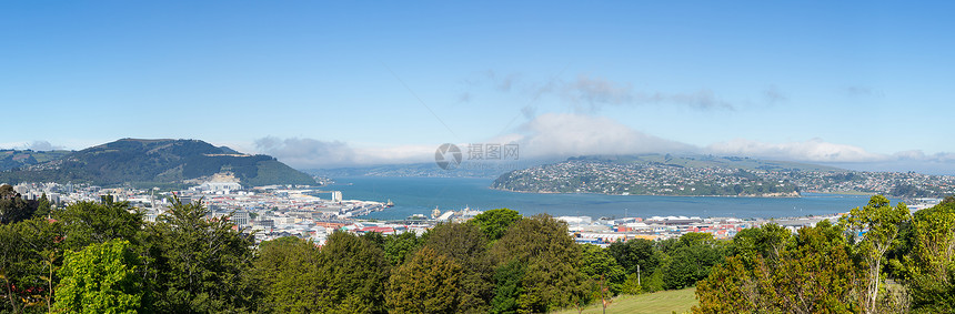 奥塔戈湾杜内丁半岛城市风景海岸线爬坡晴天海岸海景港口农村图片