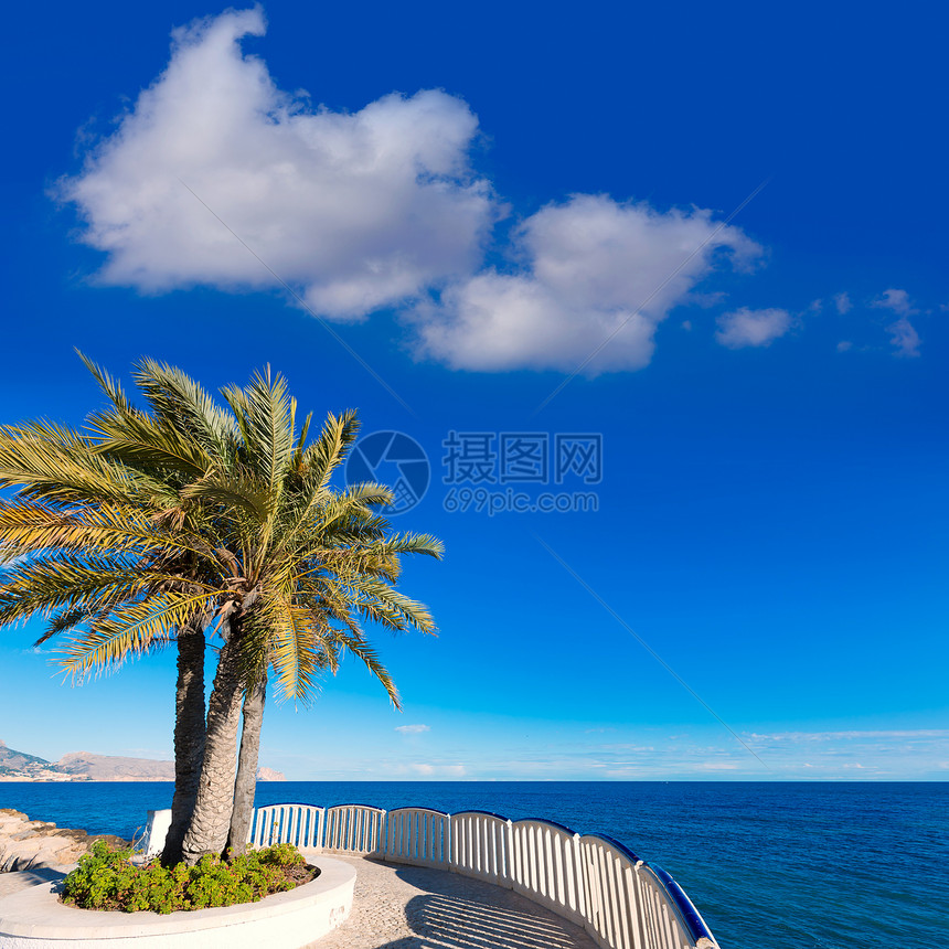 典型的地中海白色村庄阿利桑人 阿尔提亚海滩太阳粉饰晴天城市街道天空棕榈建筑学假期地标图片