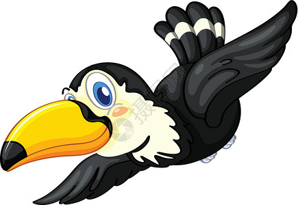白色背景上的巨嘴鸟剪裁动物热带黑色蓝色野生动物小路丛林翅膀玩具背景图片