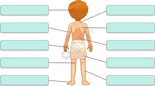 内衣拍摄车身零件内衣标签横幅科学卡通片工作簿孩子们膝盖男生男性插画