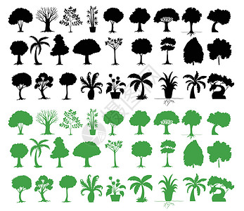 树木种类繁多黑色叶子树叶团体白色剪裁草图剪影分支机构绿色背景图片