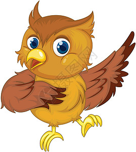 孤立的漫画猫头鹰剪贴羽毛卡通片行动童年棕色翅膀爪子动物童话背景图片